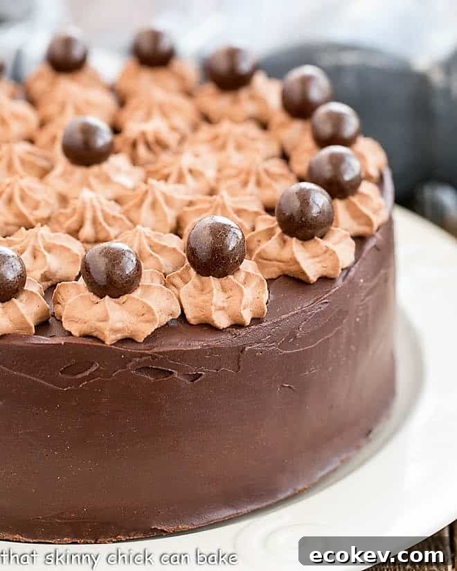 Death By Chocolate Cake topped with mousse stars and malted milk bars.