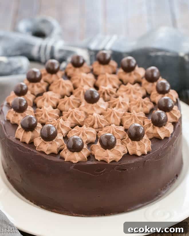 Death By Chocolate Cake on a white serving plate
