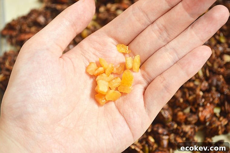 candied orange peel