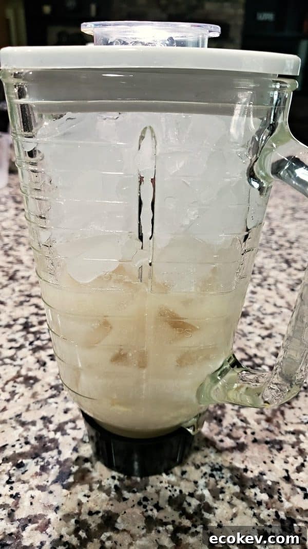 daiquiri ingredients unmixed in a blender.