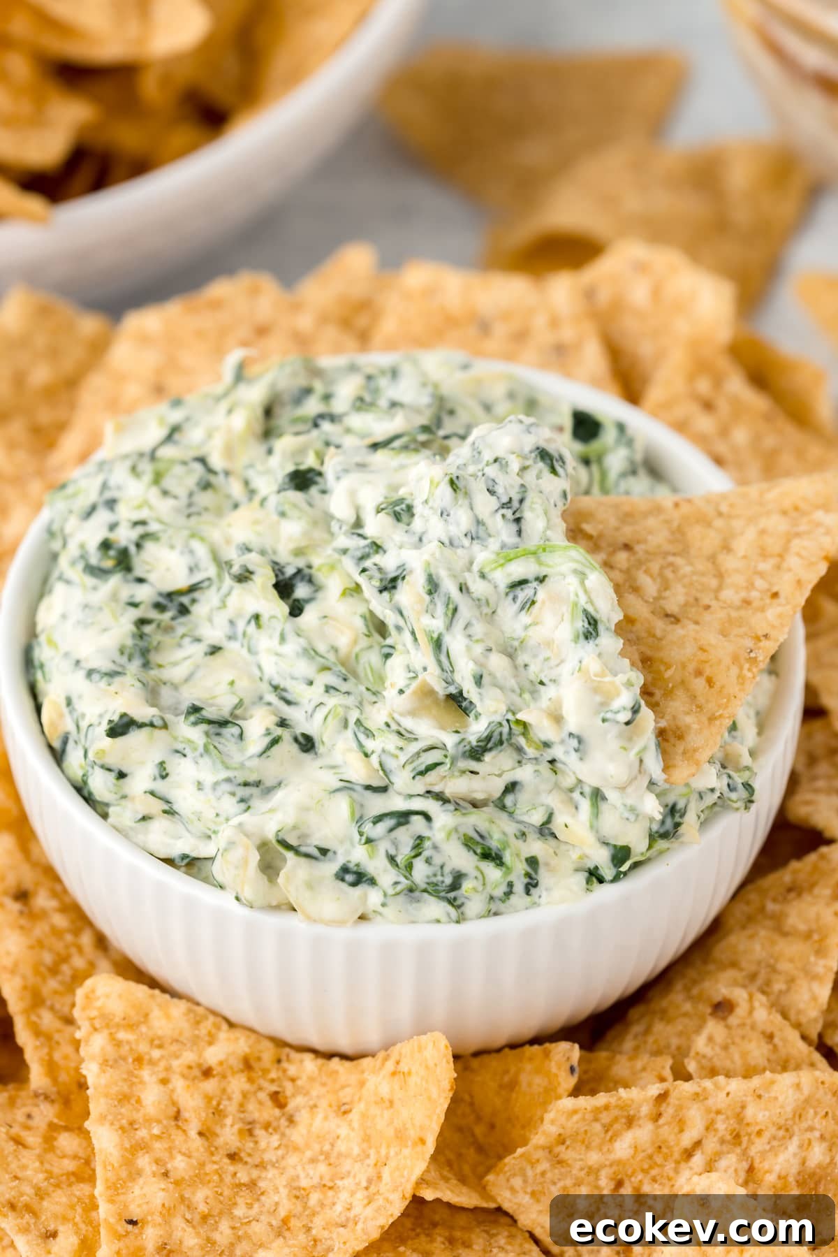 Dip with chips