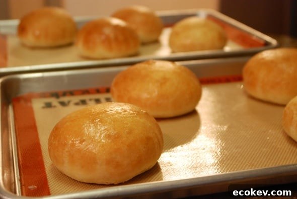 hamburger buns