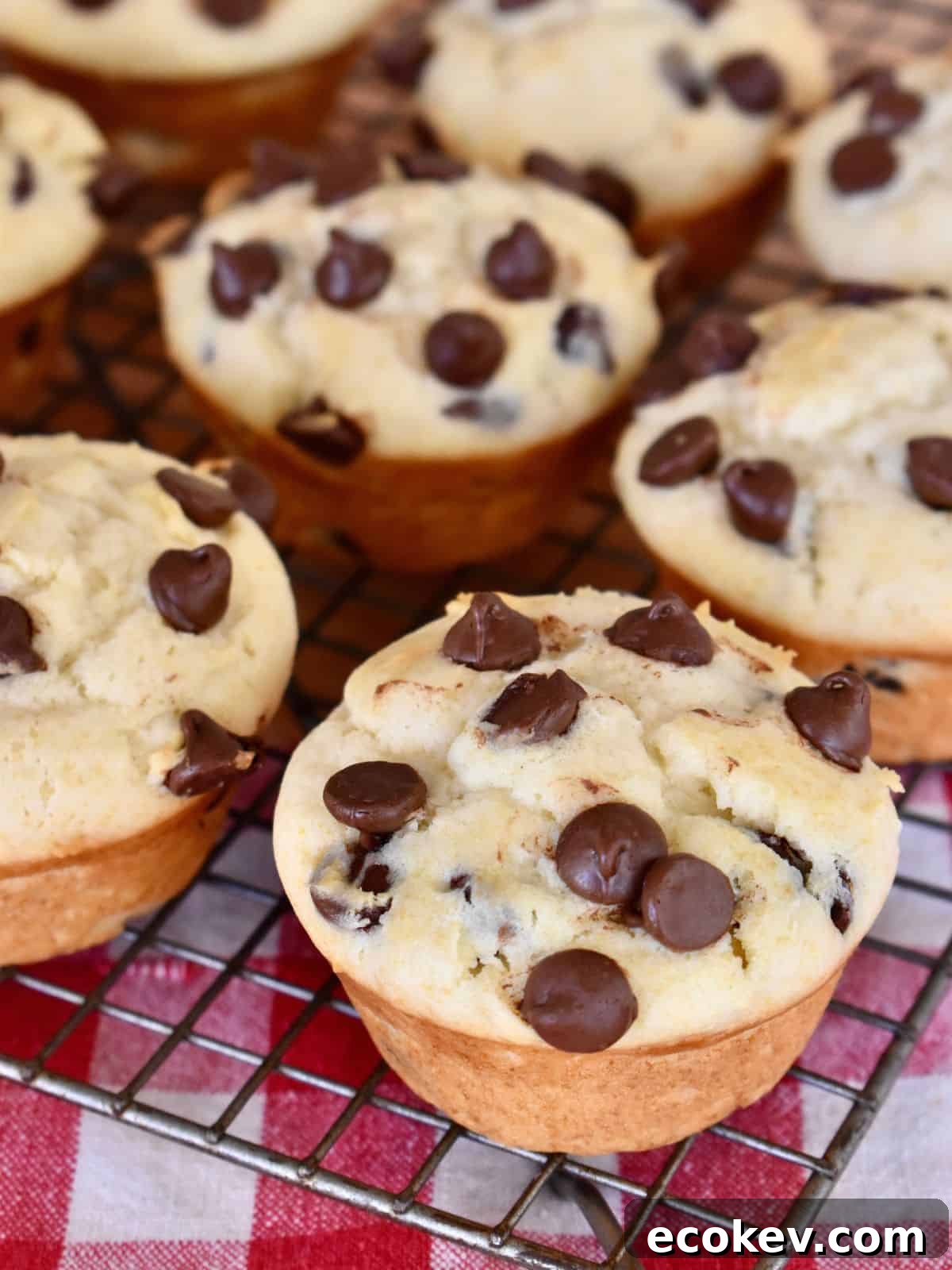 Chocolate Chip Ricotta Muffins on a wire baking rack with a checkered napkin underneath.