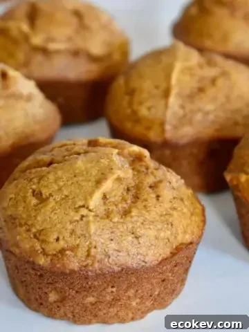 Pumpkin Applesauce Muffins