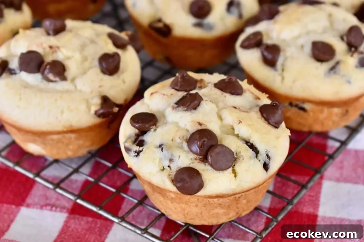 Chocolate Chip Ricotta Muffins on a wire cooling rack with a checkered napkin underneath.