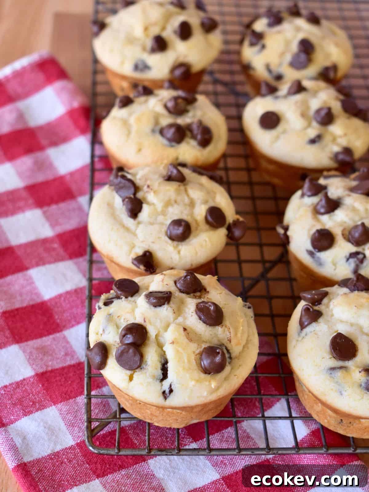 Chocolate Chip Ricotta Muffins on a wire cooling rack with a checkered napkin underneath.
