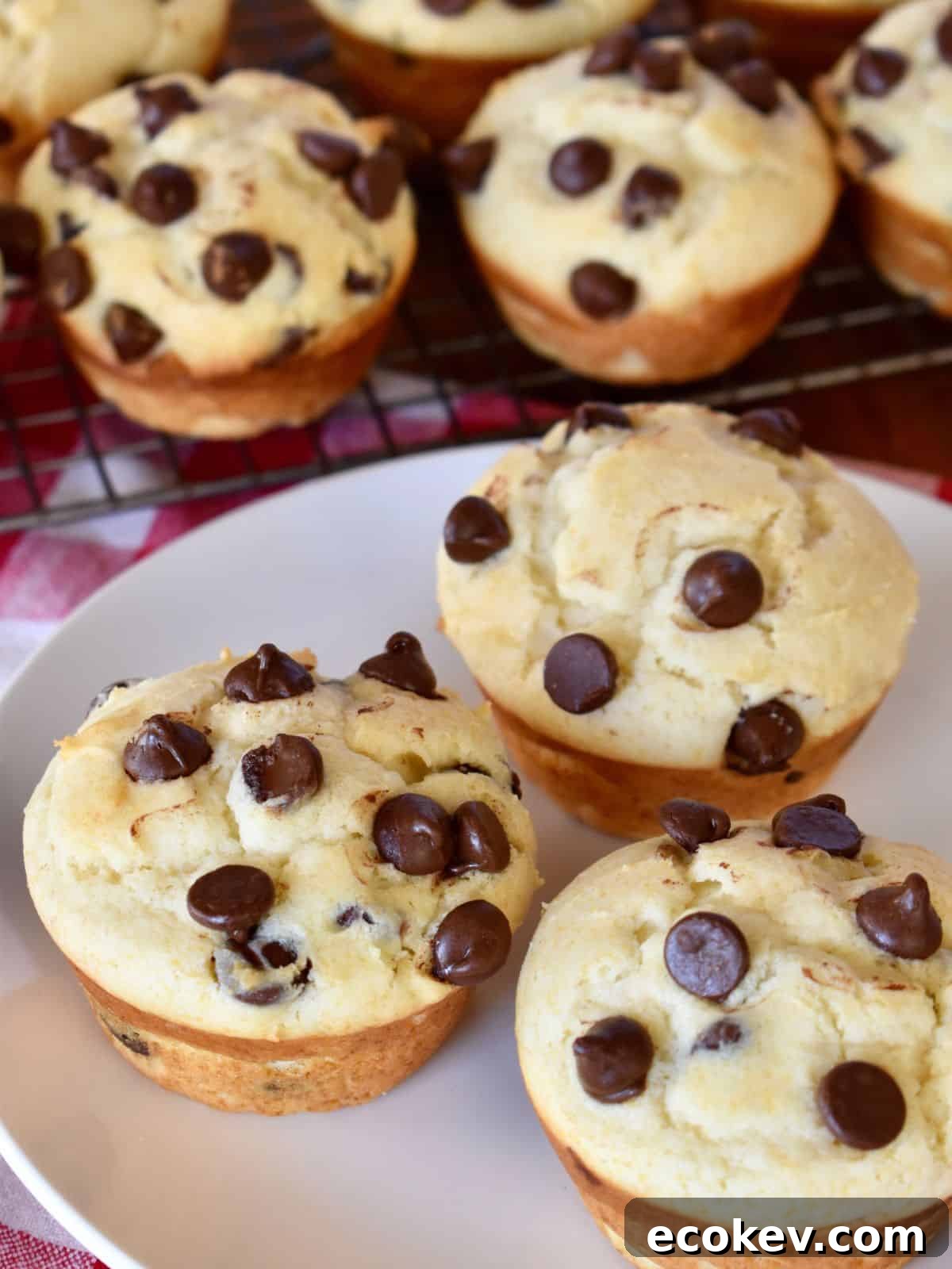 Chocolate Chip Ricotta Muffins on a white plate with more muffins on a wire rack in the background.