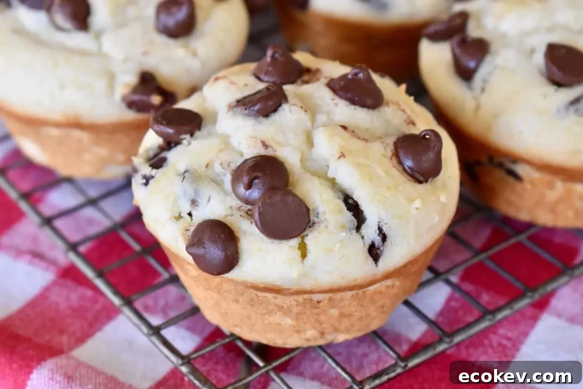 Chocolate Chip Ricotta Muffins on a wire cooling rack.