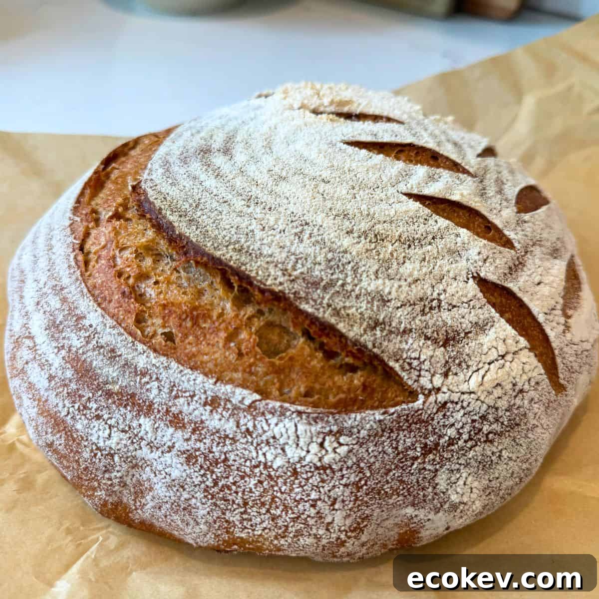 90% Einkorn sourdough bread recipe loaf cooling on counter on parchment paper
