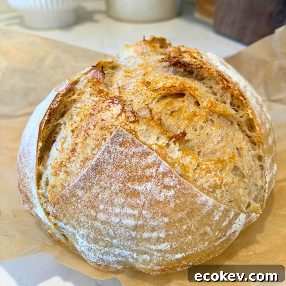 high starter or hydration sourdough rbead