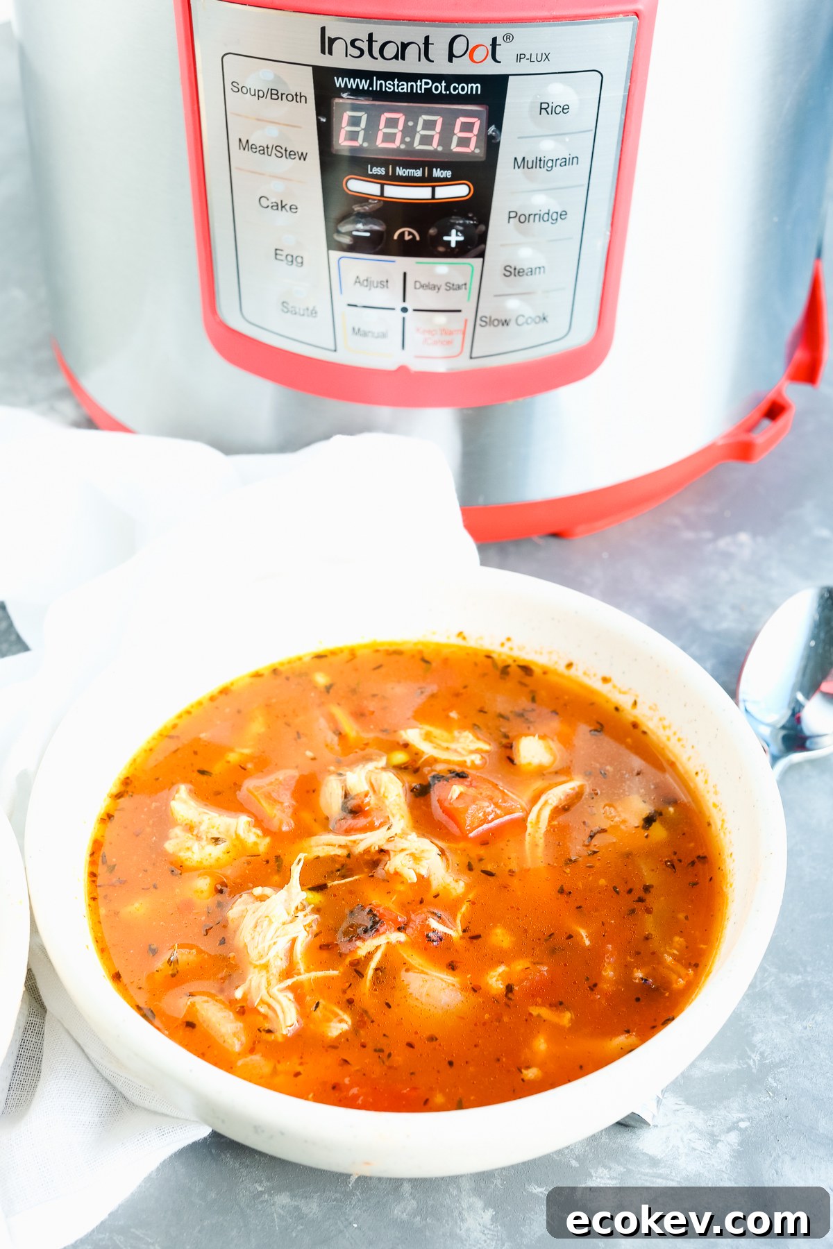 Instant Pot chicken vegetable soup recipe in a bowl with instant pot in the background