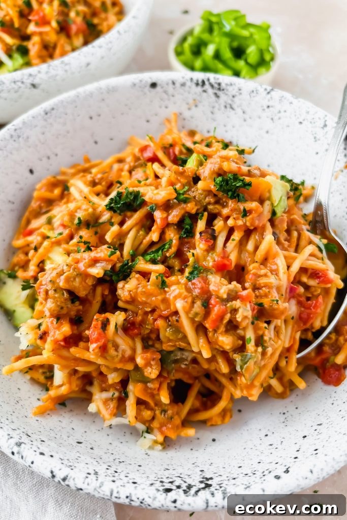 Plate of Mexican Spaghetti