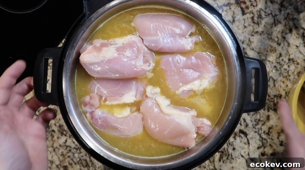 Chicken in pot