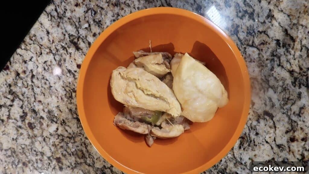 Shredded chicken in bowl
