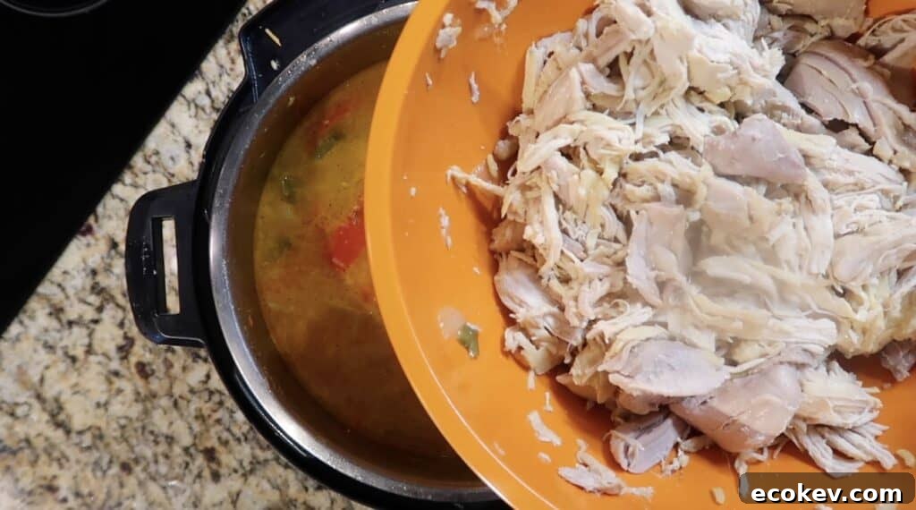 Returning shredded chicken to the pot
