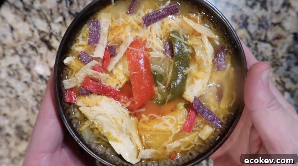 Bowl of soup with tortilla strips and more cheese on top