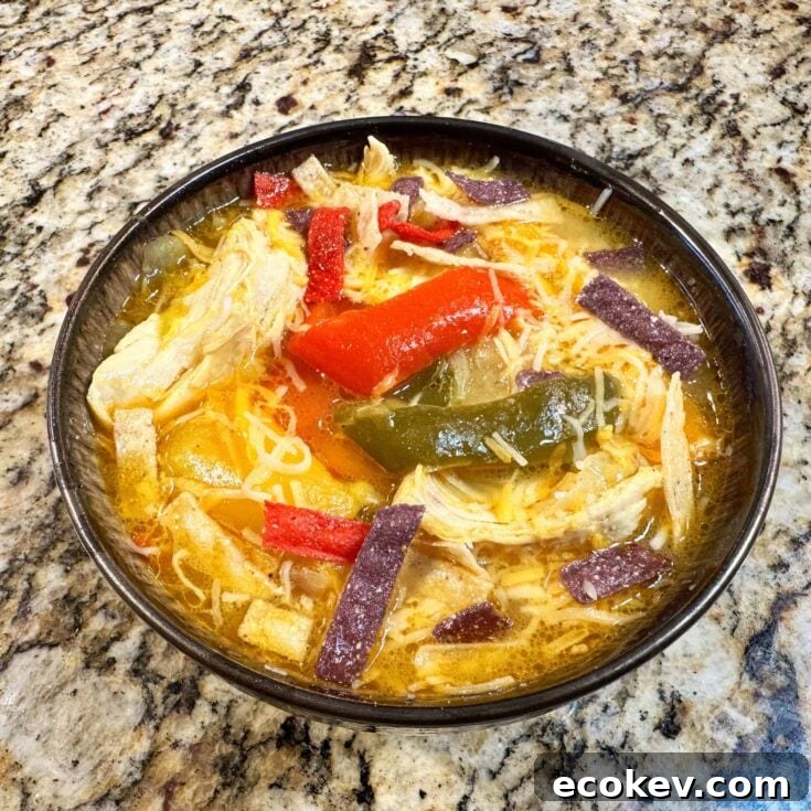 Soup close-up