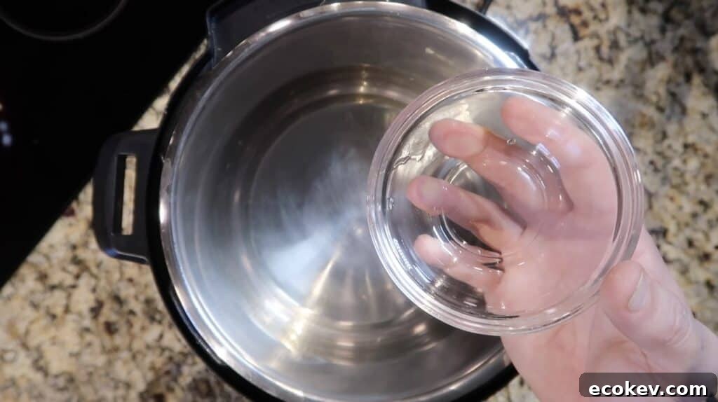 Adding vegetable oil to Instant Pot
