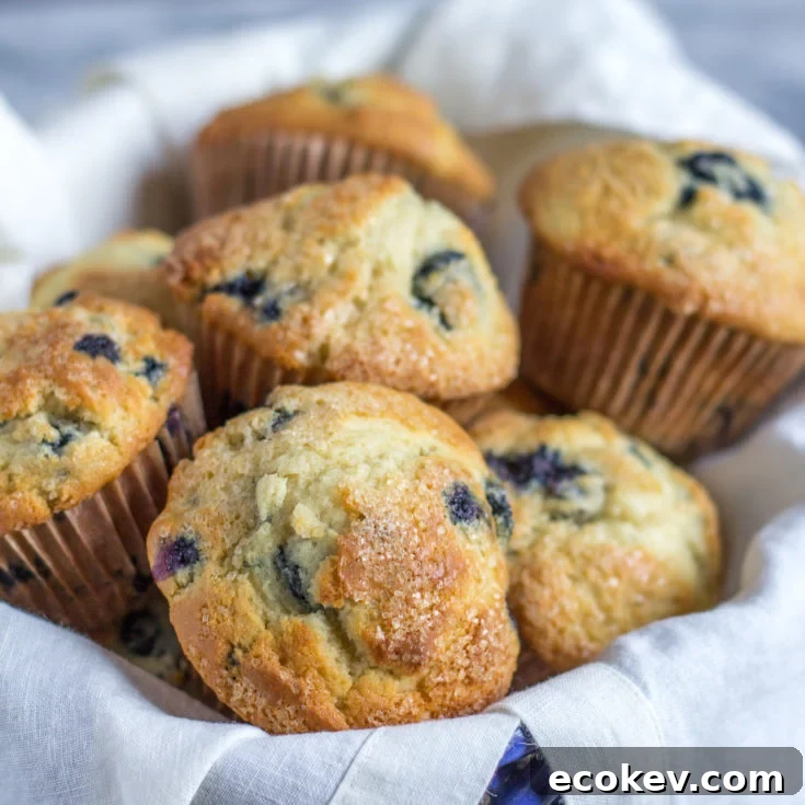 Classic Blueberry Muffins