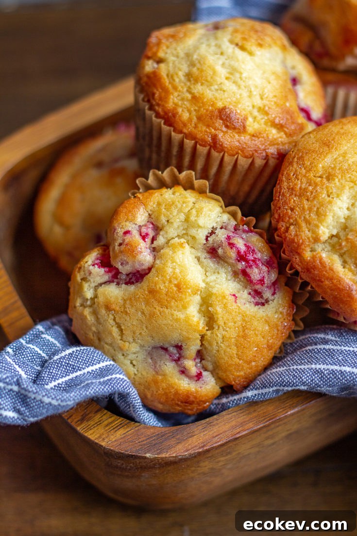 Lemon Ricotta Raspberry Muffins