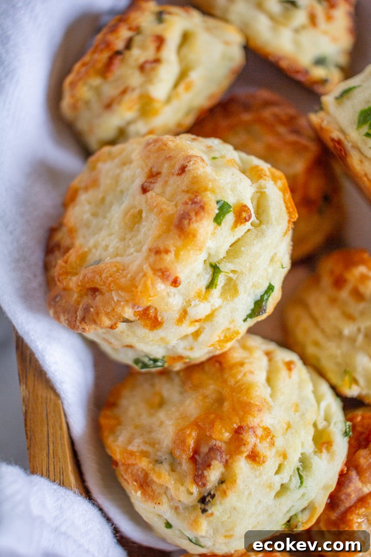 Green Onion and Cheddar Biscuits