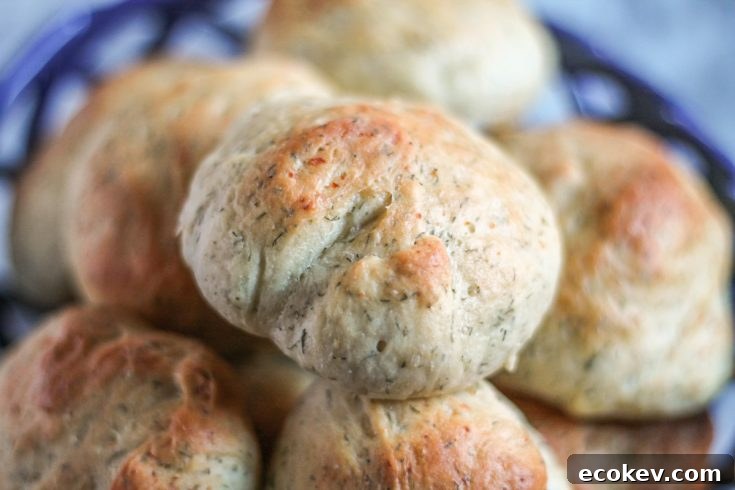 Dill Cottage Cheese Rolls