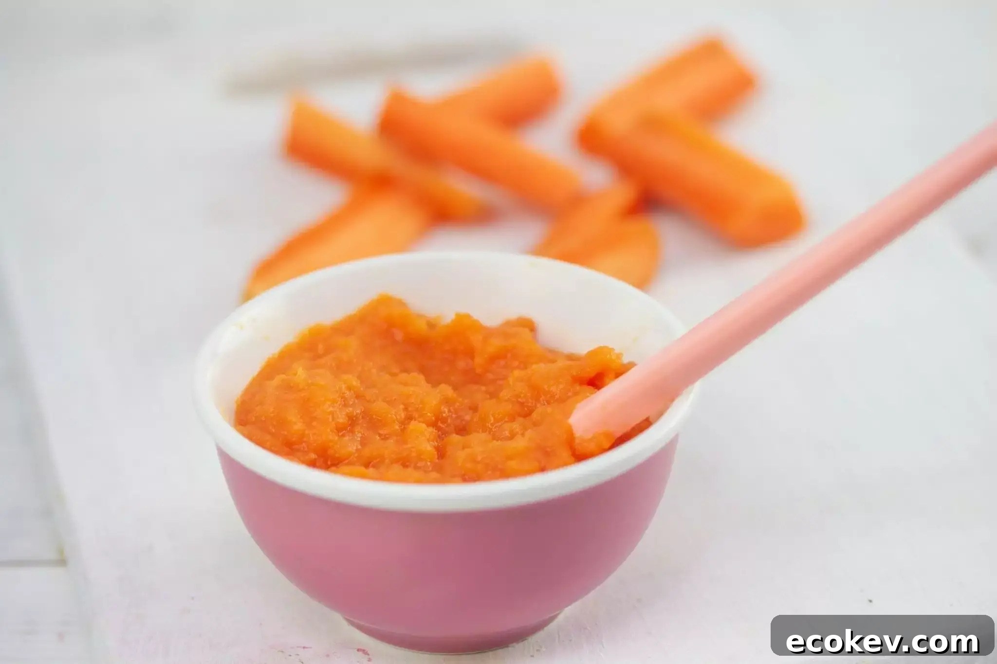 carrot-baby-food-recipe