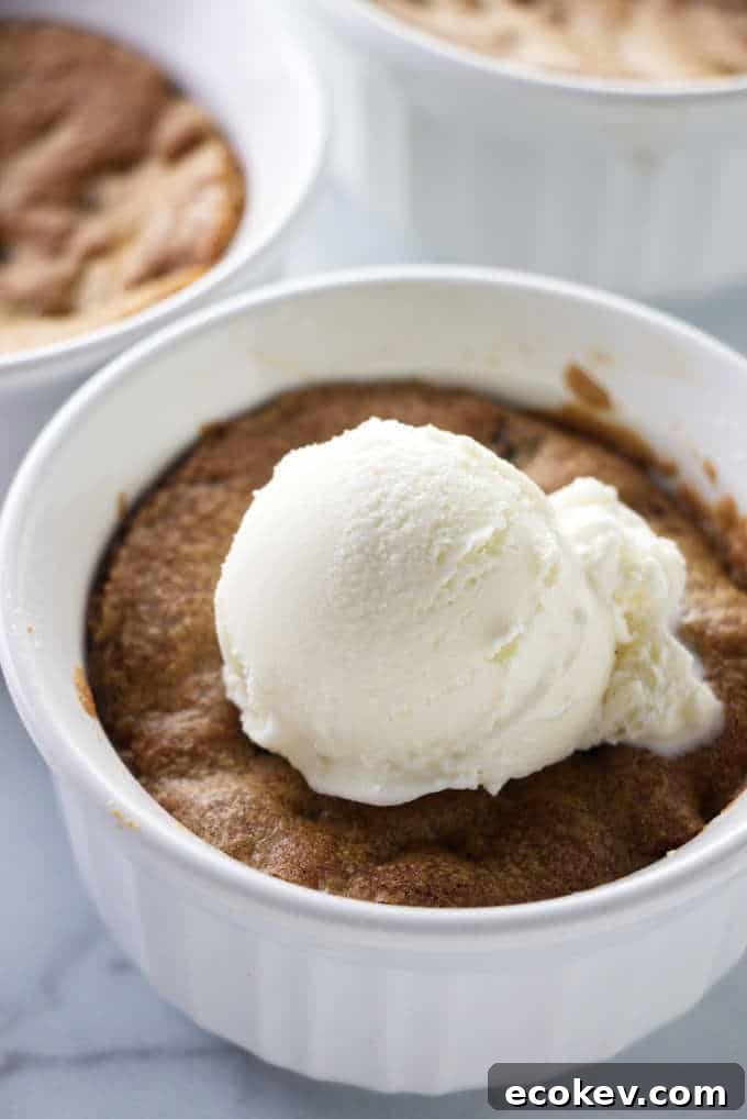 Deep dish cookie bowl baked in the air fryer.