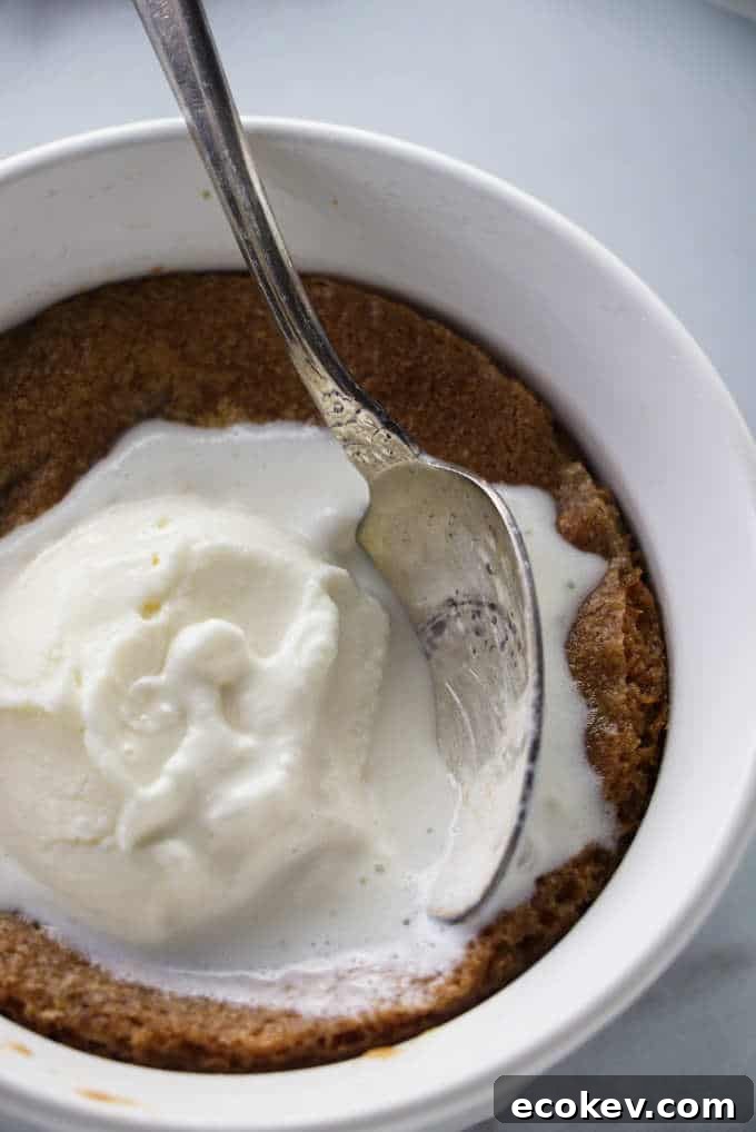 Deep dish chocolate chip cookie bowl with melted ice cream.