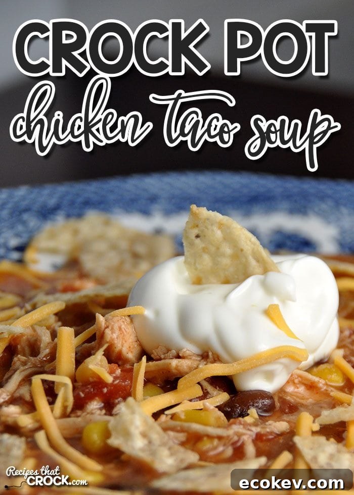 Bowl of chicken taco soup