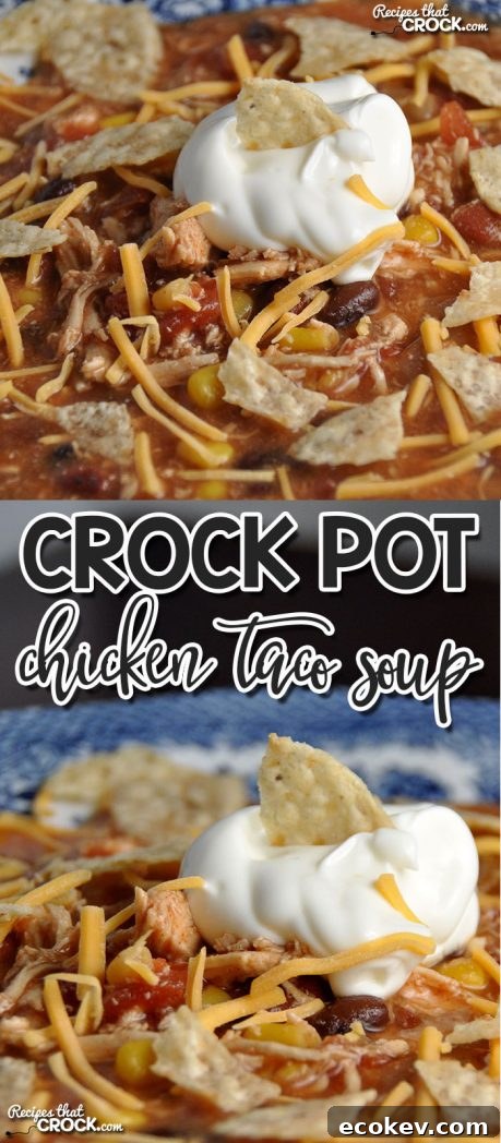 Crock Pot Chicken Taco Soup ingredients