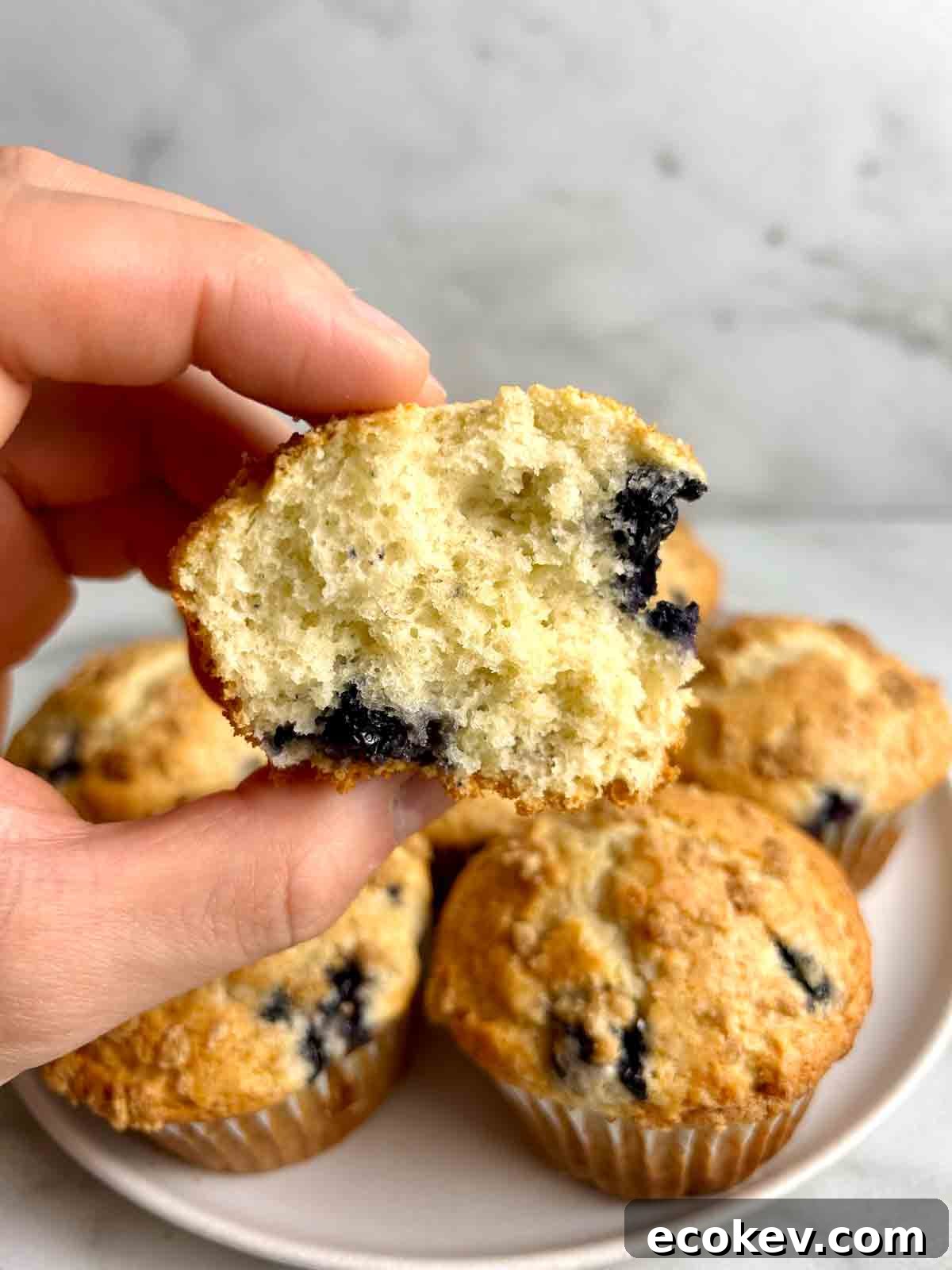 Fluffy Bisquick Muffins Recipe 8 hand holding muffin that is split in half to show the crumb on the inside.