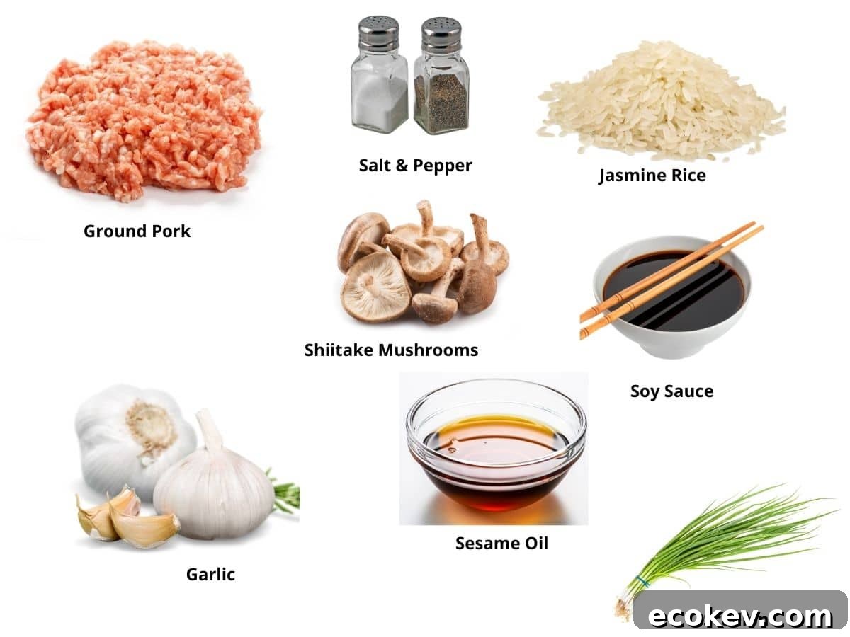 Photos of the ground pork fried rice ingredients.