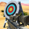 hit targets shooting
